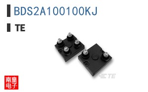 BDS2A100100KJ
