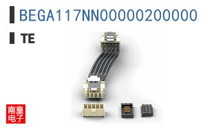 BEGA117NN00000200000