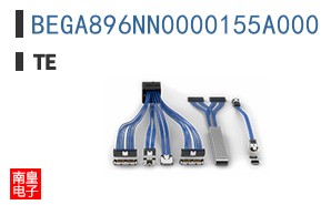 BEGA896NN0000155A000