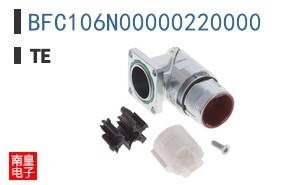 BFC106N00000220000