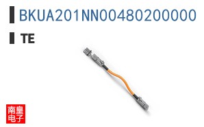 BKUA201NN00480200000