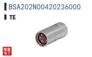 BSA202N00420236000