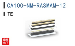 CA100-NM-RASMAM-12