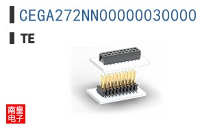 CEGA272NN00000030000