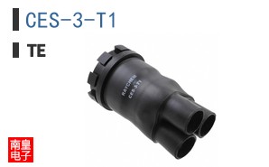 CES-3-T1