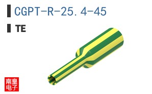 CGPT-R-25.4-45
