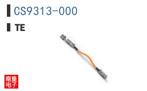 CS9313-000