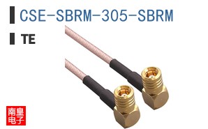 CSE-SBRM-305-SBRM