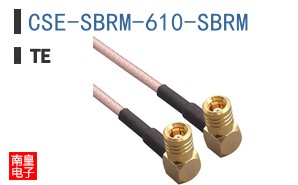 CSE-SBRM-610-SBRM