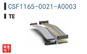 CSF1165-0021-A0003