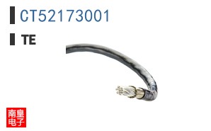 CT52173001
