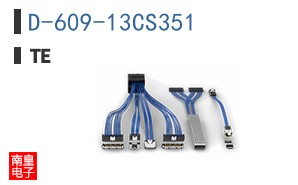D-609-13CS351