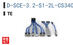 D-SCE-3.2-S1-2L-CS34034