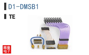 D1-DMSB1
