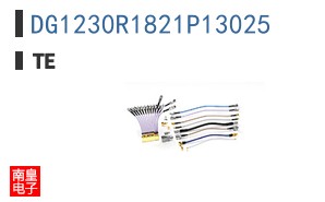 DG1230R1821P13025