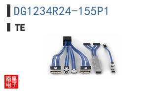 DG1234R24-155P1