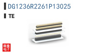 DG1236R2261P13025
