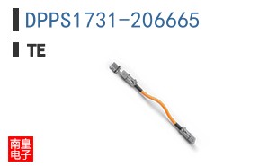 DPPS1731-206665