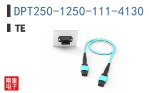 DPT250-1250-111-4130