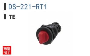 DS-221-RT1