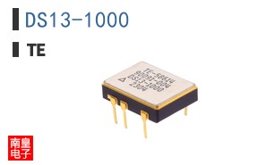 DS13-1000
