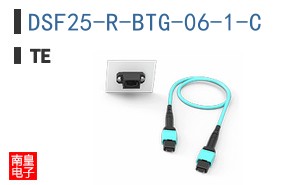 DSF25-R-BTG-06-1-C