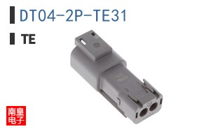 DT04-2P-TE31