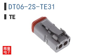 DT06-2S-TE31
