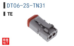 DT06-2S-TN31