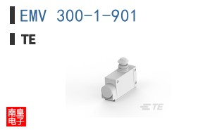 EMV 300-1-901