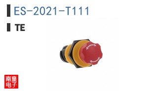 ES-2021-T111