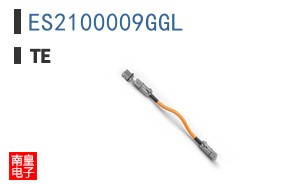 ES2100009GGL