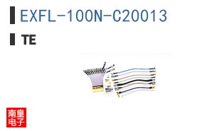 EXFL-100N-C20013