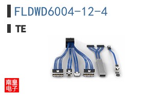 FLDWD6004-12-4