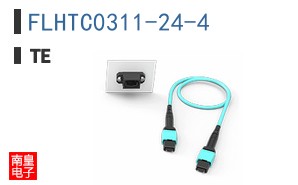 FLHTC0311-24-4