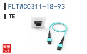FLTWC0311-18-93