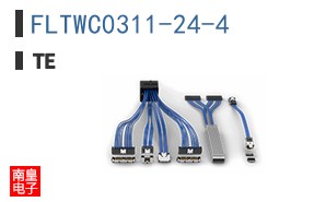 FLTWC0311-24-4