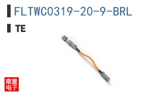 FLTWC0319-20-9-BRL