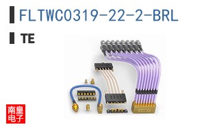 FLTWC0319-22-2-BRL