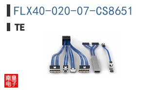 FLX40-020-07-CS8651