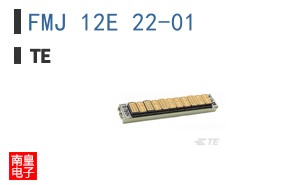 FMJ 12E 22-01