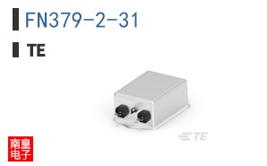 FN379-2-31