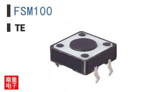 FSM100