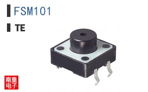 FSM101