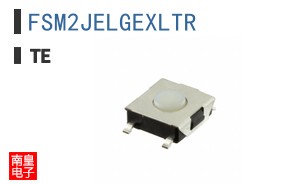 FSM2JELGEXLTR