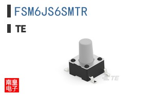 FSM6JS6SMTR