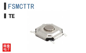 FSMCTTR