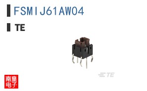 FSMIJ61AW04