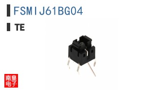 FSMIJ61BG04