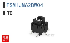 FSMIJM62BW04